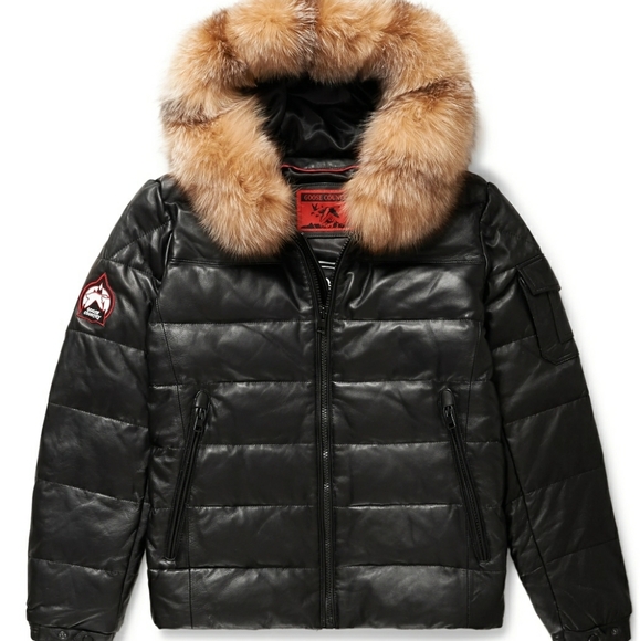 bubble canada goose